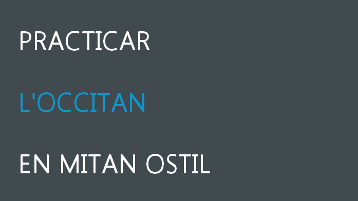 Practicar l’occitan en mitan ostil es lo títol de la primièra annada de Mejans.fr